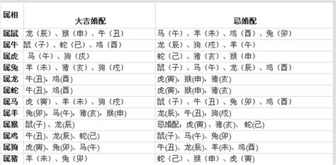 生肖搭配|最完整的12生肖婚配表